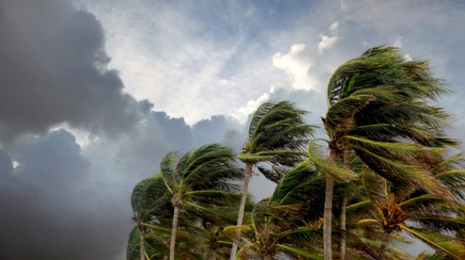 tropical-storm-bertha-takes-shape-off-the-florida-coast,-prompting-storm-alerts