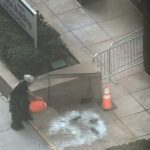 ‘anti-government-extremist’-sets-off-incendiary-device-outside-federal-building-in-new-york:-fbi