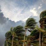 tropical-storm-bertha-churns-off-florida-coast,-prompting-storm-alerts