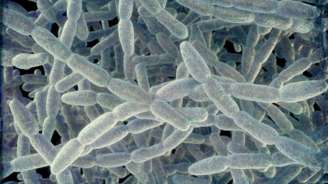 4th-person-dies-from-legionnaires’-disease-in-new-york-city:-health-officials